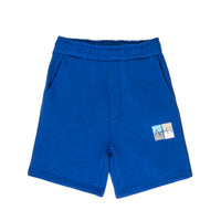 Boys Quadrant Shorts in Blue