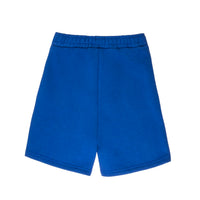 Boys Quadrant Shorts in Blue