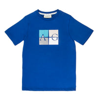 Boys Quadrant T-Shirt in Blue